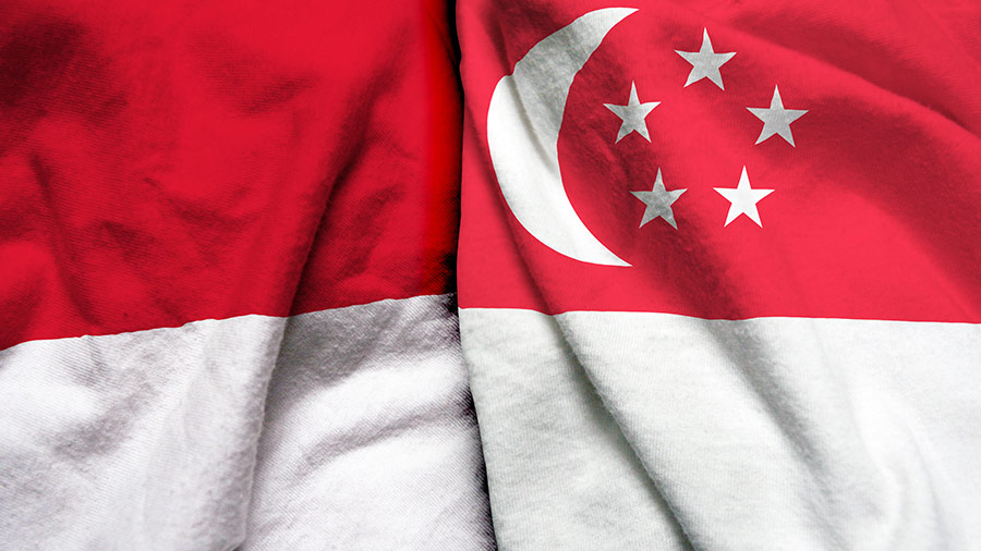 Indonesia - Singapura Jalin Kesepakatan Soal Investasi IKN